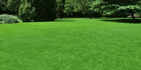 Fake Grass in Melbourne