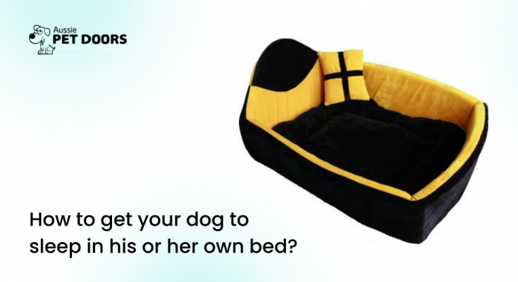 Dog Beds Large