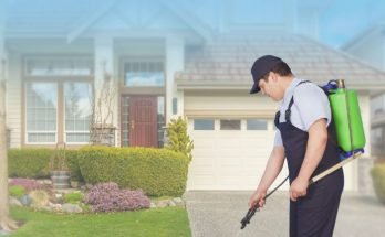 Secure Your Peace of Mind The Role of Pest Inspections in a Smooth Home Transition
