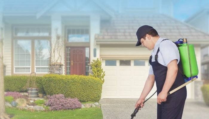 Secure Your Peace of Mind The Role of Pest Inspections in a Smooth Home Transition